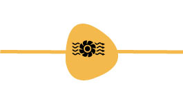 Ventilación Mecánica